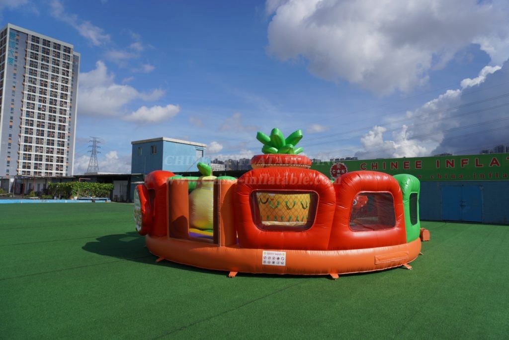 T11-3652 Fruit themed inflatable bounce house